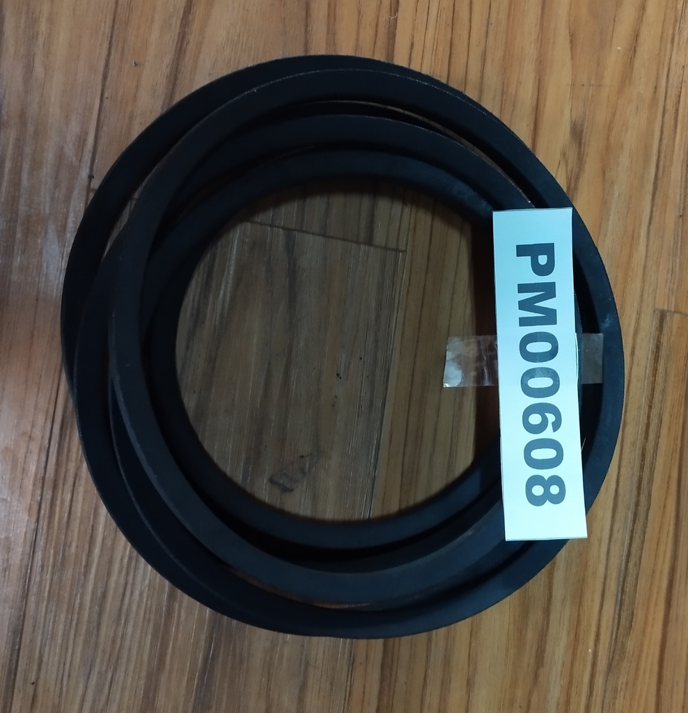 PM00608 - PUMP BELT B-81